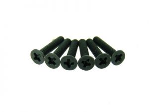 Flat Head Screws 3x16 6p - 31061