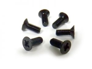 Flat Head Screws 3x10 6p - 31070